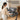 UREVO Multifunctional Desk