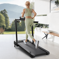 2 in 1 treadmill